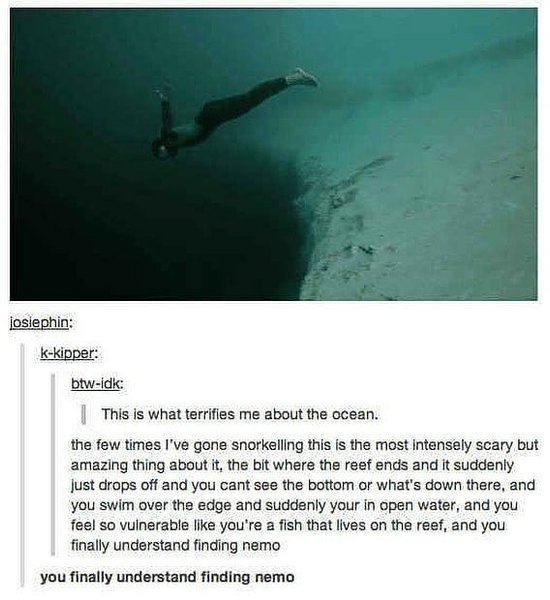 Thumbnail of b4p4v56hf-p-679e7c276c9e4491 1