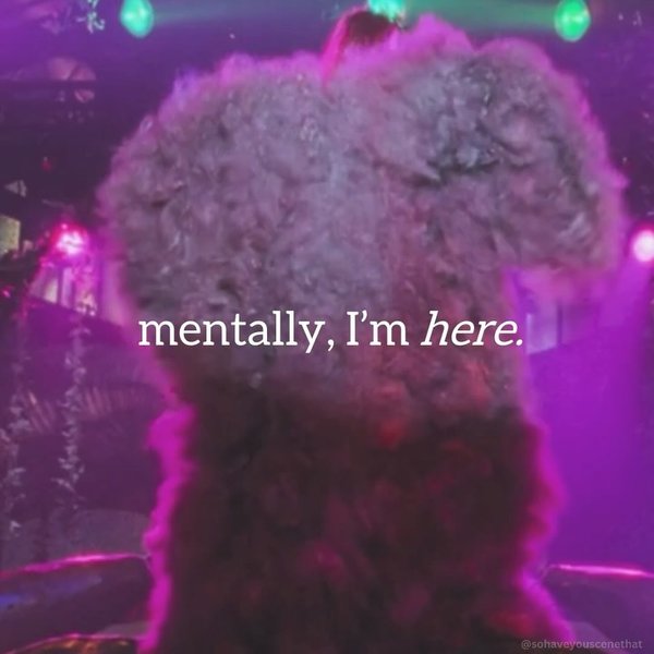 Thumbnail of p-dcpvvdqz45a-67c2dc02bd4b440e 0