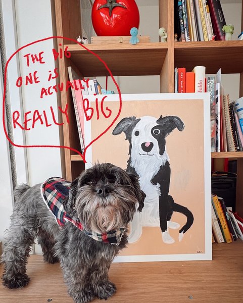 Thumbnail of dfani-yrxwc-67e2455a0f7c463c 9