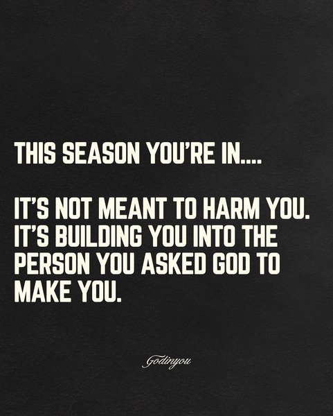 Thumbnail of p-dmi5xxzx6kb-67eeed57f6ae4986 2