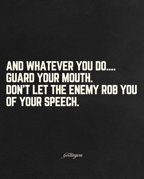 Thumbnail of p-dmi5xxzx6kb-67eeed57f6ae4986 4