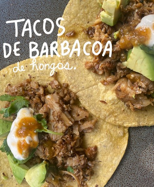 Thumbnail of p-cfxlnkot2zd-67f205807cb1472d 1