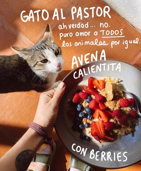 Thumbnail of p-cfxlnkot2zd-67f205807cb1472d 8