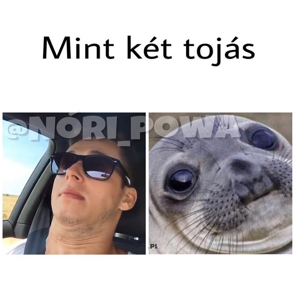 Thumbnail of p-bw4oszclk7q-68081f1e192348d3 0