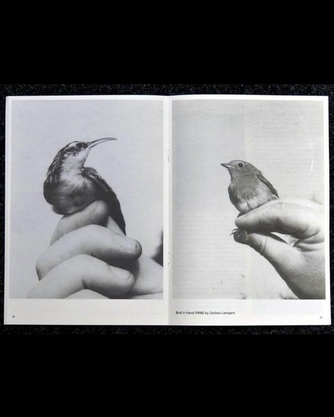 Thumbnail of b7mrt-fgtq2-6841afc0e06448cc 9