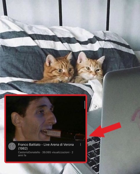 Thumbnail of p-cxc2pojlbhs-687878e59e264839 3