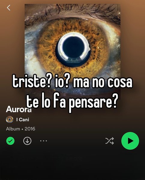 Thumbnail of p-cxc2pojlbhs-687878e59e264839 5