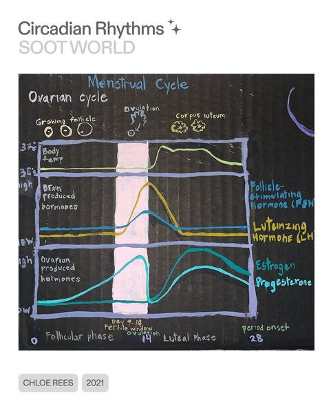 Thumbnail of p-dimaavbsgfg-68992f80f16341e1 4