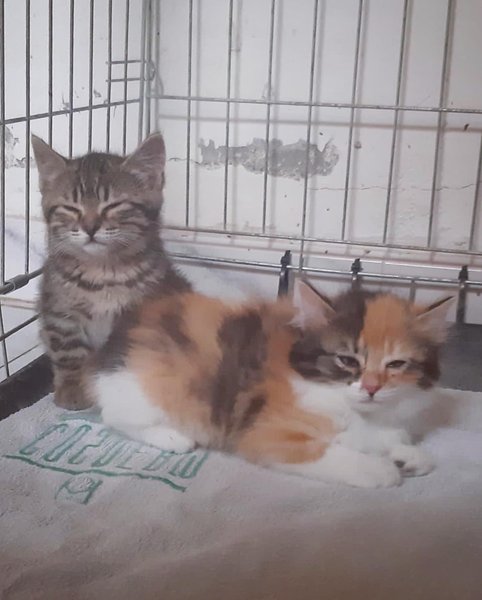 Thumbnail of p-cp5j8osln3c-68b106f2cdd84a65 6