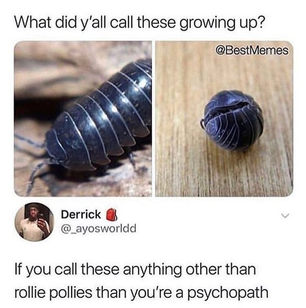 Thumbnail of p-btfklpqfhkj-68f70a4d37694ab8 4