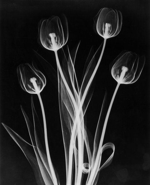 Thumbnail of dh86f8-y8ve-68f97fa2fc114dff 0