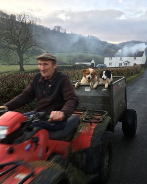 Thumbnail of p-cgrpusiszyp-69361e958db14ef9 0