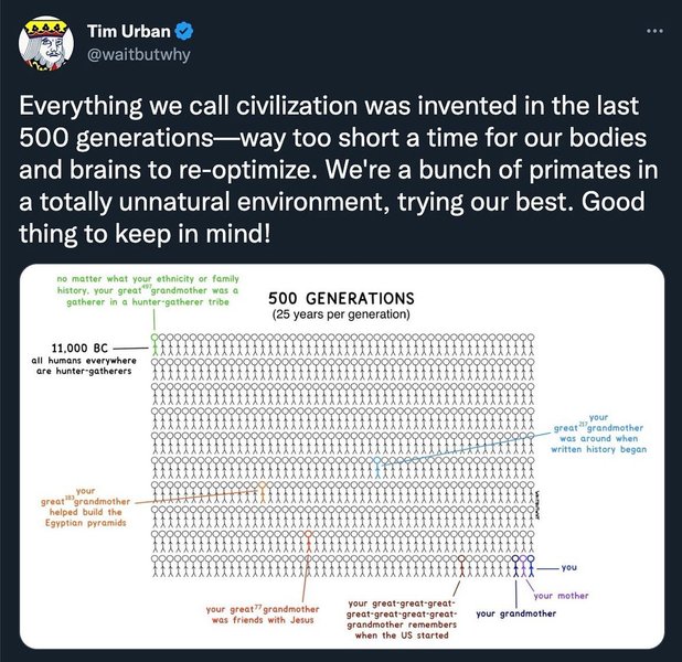 Thumbnail of p-cm11h7slftf-696ef63086114dd0 0