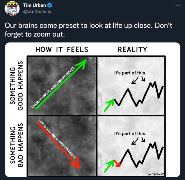 Thumbnail of p-cm11h7slftf-696ef63086114dd0 1