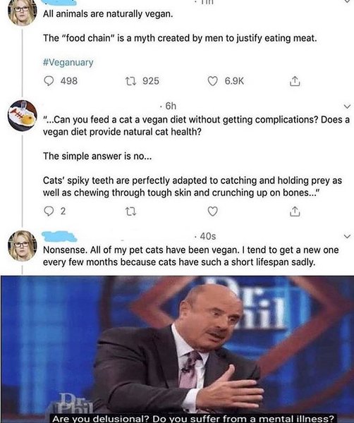 Thumbnail of p-b71xr9nf4dt-69755b3d2ee74a0b 0