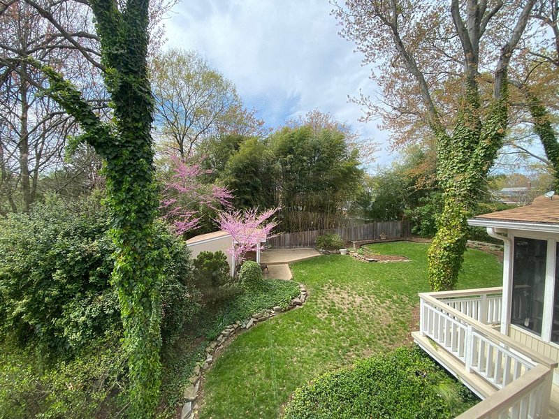 Thumbnail of b-ckceojvkt02hdbcmxkazayl2w4w7kd1en78e0-698648afbbb74b6d 0