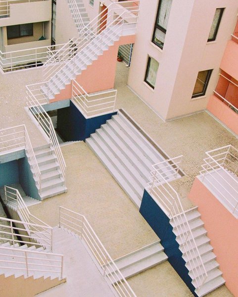 Thumbnail of b21-msdog5y-698aaae4f289456b 2