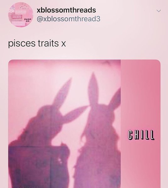 Thumbnail of p-b728bmabwog-69d05fd29afa44a8 0