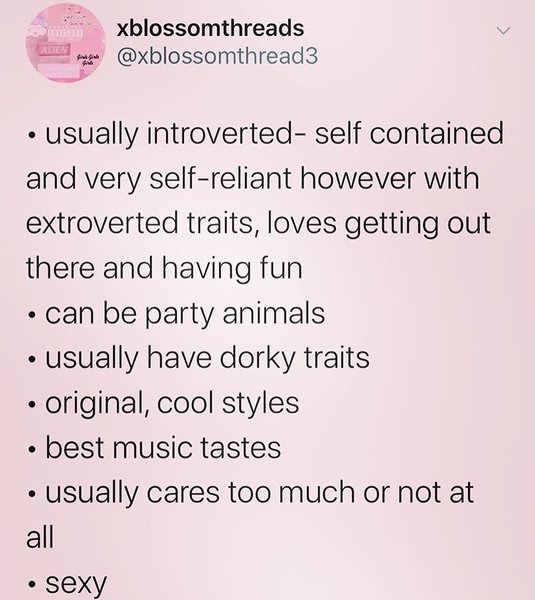 Thumbnail of p-b728bmabwog-69d05fd29afa44a8 1