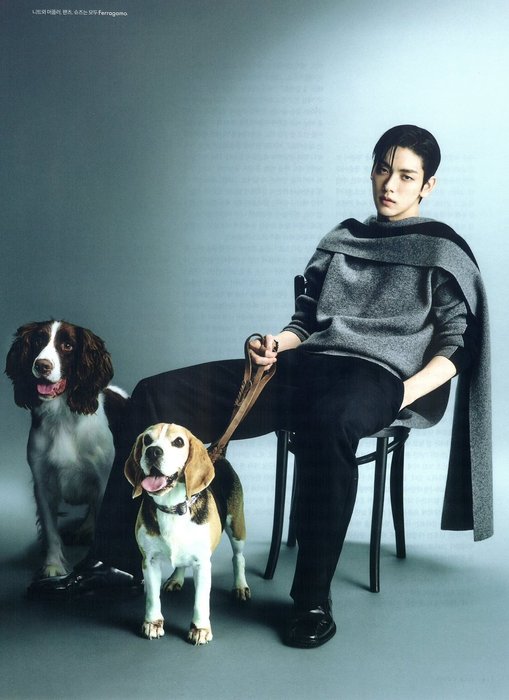 Thumbnail of www-x-com-cafewindows-status-1983934153587667097-69f39a2aa4fc41ac