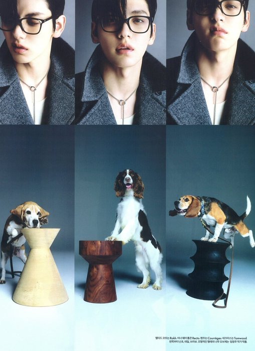 Thumbnail of www-x-com-cafewindows-status-1983934153587667097-69f39a2aa4fc41ac