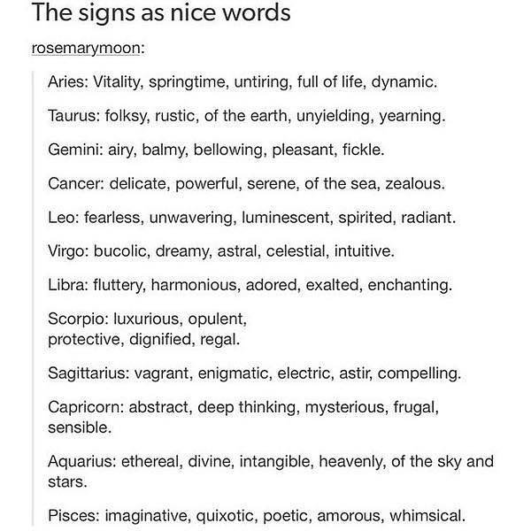 Thumbnail of p-bszn7dtgllw-6a1f555182854b22 8