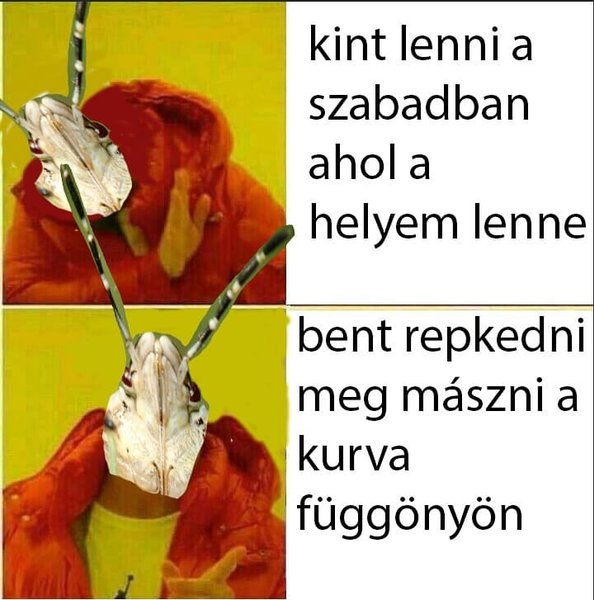 Thumbnail of p-brf5wh3hvnh-6a6cdbfec1164ec2 0