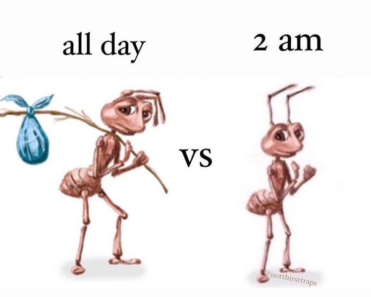 Thumbnail of p-c2yuzvmo7g0-6a6f55d7768e4ef3 8