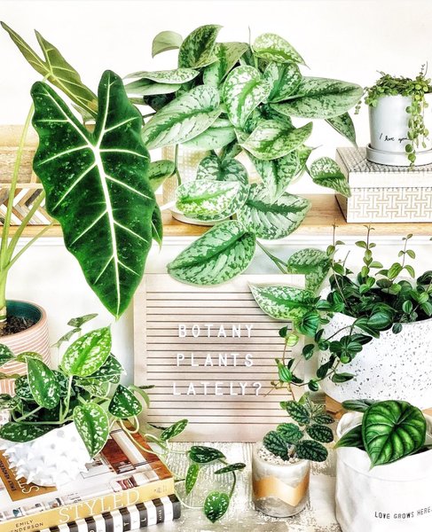 Thumbnail of p-cj1gokabn4n-6ace8057db5e4505 0