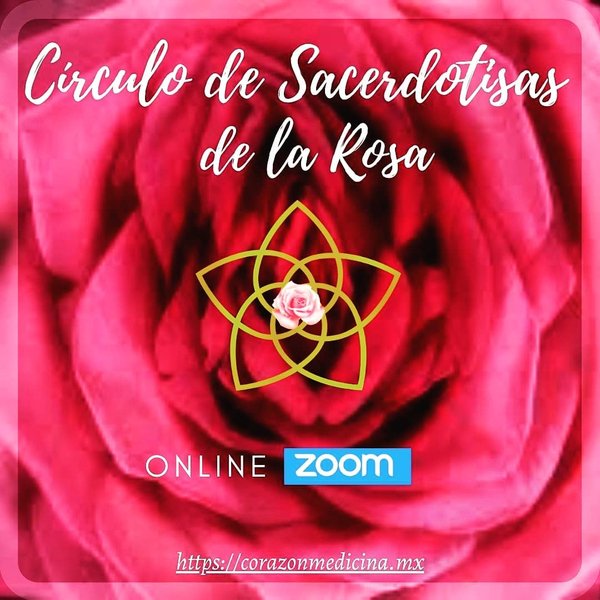 Thumbnail of p-ciujyfdnwxm-6b271cc8dafd436d 0