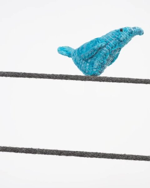 Thumbnail of p-c1znpmpnumh-6bff7b44d9a64458 2