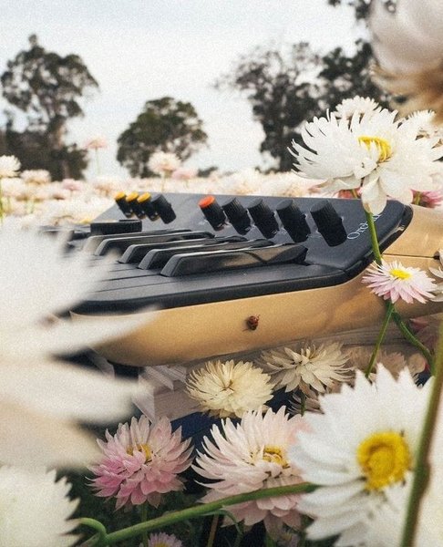 Thumbnail of p-dczr1txszfe-6c2d000c41e44d0f 2