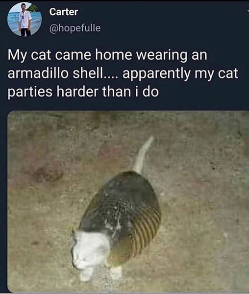 Thumbnail of p-b5mfkblhjyk-6c6328cca32a4ee4 0