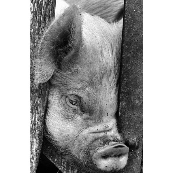 Thumbnail of p-crojjdcrci0-6c78dd4335b0413e 0