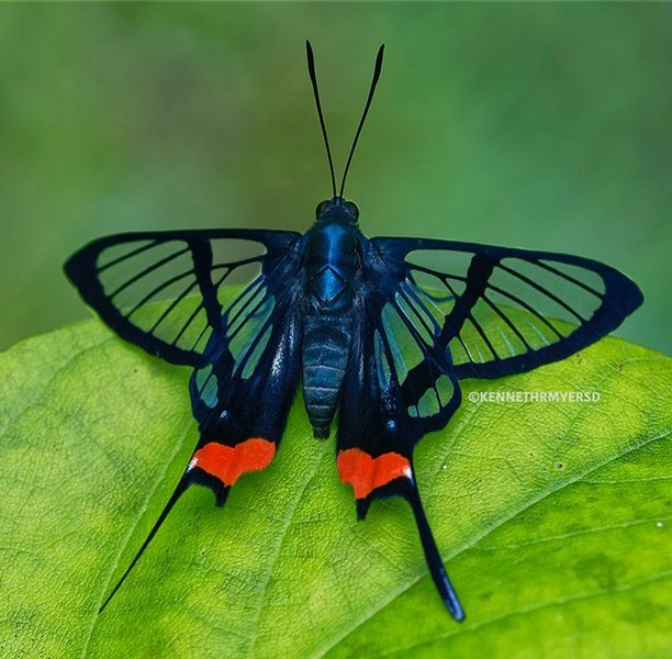 Thumbnail of cu1-xgnrjvd-6c9153c782e14f4e 0