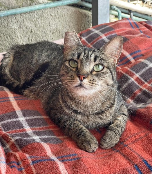 Thumbnail of p-dmlctbsou4w-6cd45714dae74fe6 0