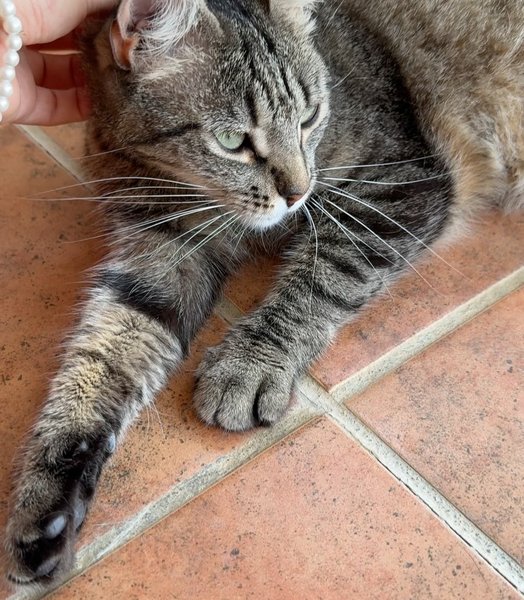 Thumbnail of p-dmlctbsou4w-6cd45714dae74fe6 1