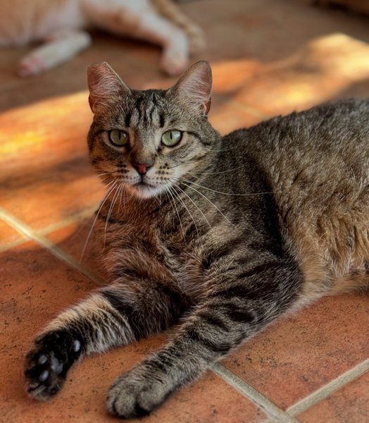 Thumbnail of p-dmlctbsou4w-6cd45714dae74fe6 2