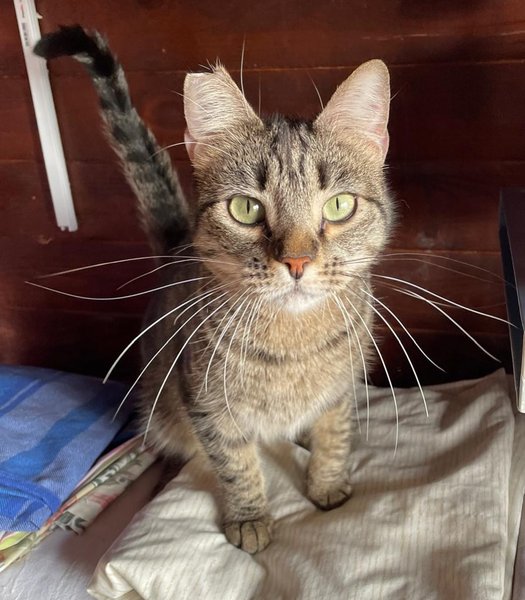 Thumbnail of p-dmlctbsou4w-6cd45714dae74fe6 3