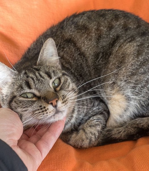 Thumbnail of p-dmlctbsou4w-6cd45714dae74fe6 4