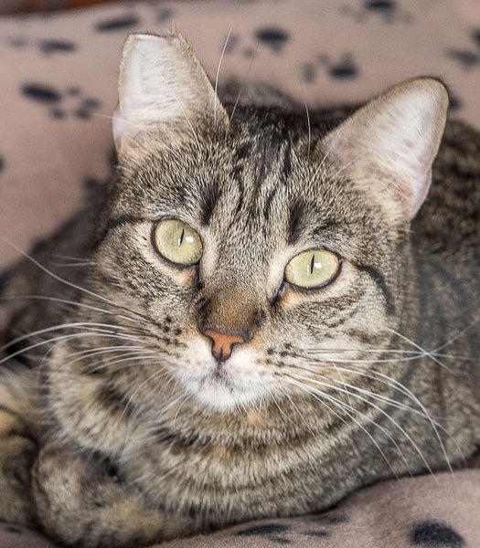 Thumbnail of p-dmlctbsou4w-6cd45714dae74fe6 5