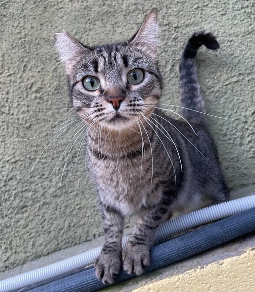 Thumbnail of p-dmlctbsou4w-6cd45714dae74fe6 6