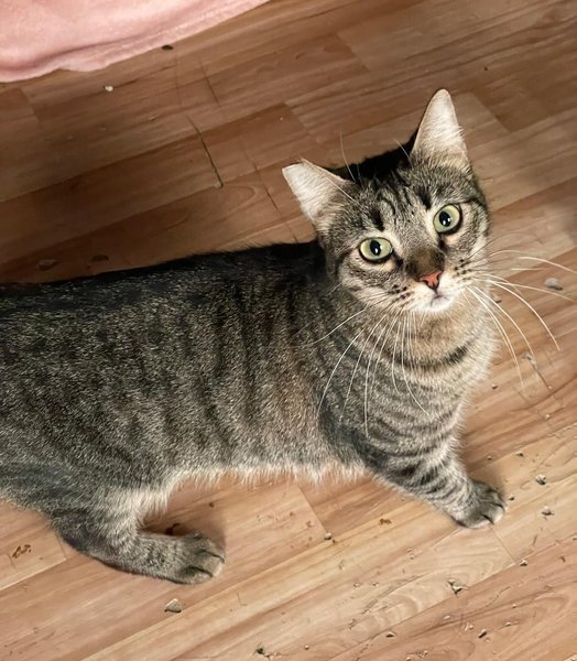 Thumbnail of p-dmlctbsou4w-6cd45714dae74fe6 7