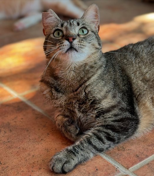 Thumbnail of p-dmlctbsou4w-6cd45714dae74fe6 8