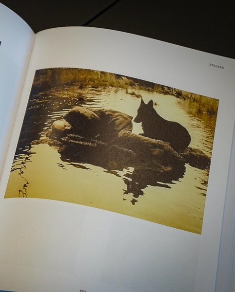 Thumbnail of p-b5hciqjhgb-6ce58ebafc1d47b8 1