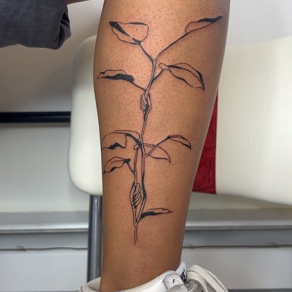 Thumbnail of p-ckv1rbsj5mc-6cfde012fb554e9e 0