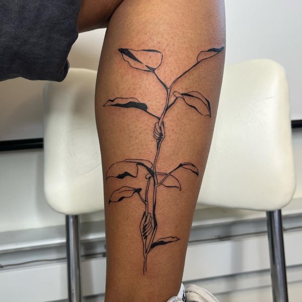 Thumbnail of p-ckv1rbsj5mc-6cfde012fb554e9e 1