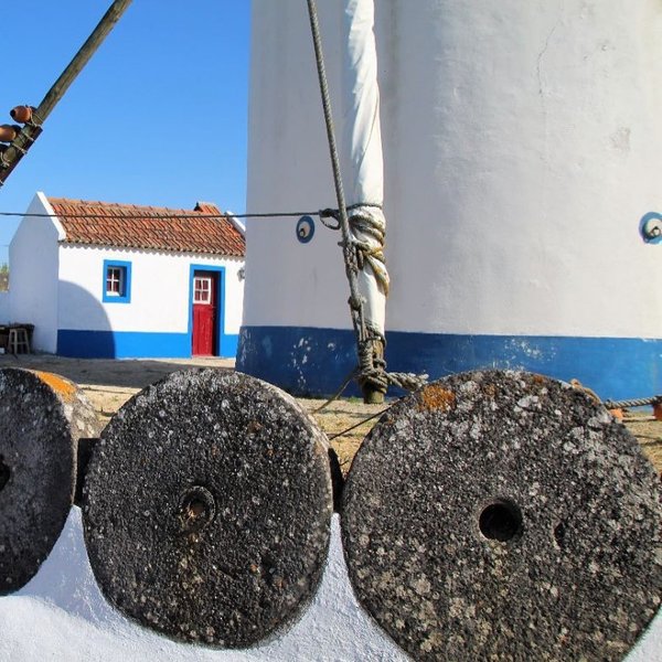 Thumbnail of c0koa-subpv-6d249c059fdd4457 2