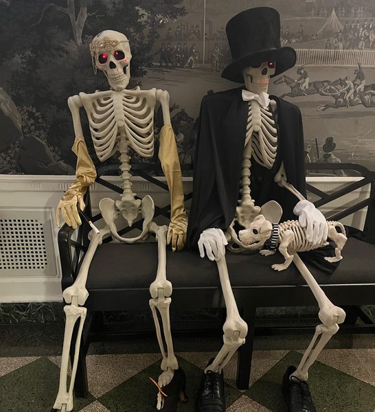 Thumbnail of p-czhgusxunmr-6d2cdc71cf1d45c3 2