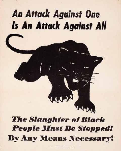 Thumbnail of p-ca3qbcchquh-6d30bfa37059422c 2